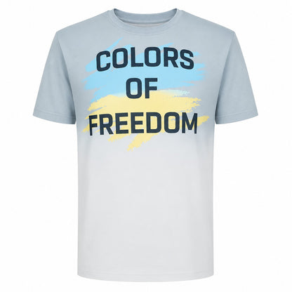 T-Shirt Usyk-17 Colors gray